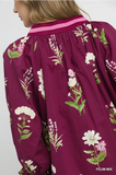 Whelan Top