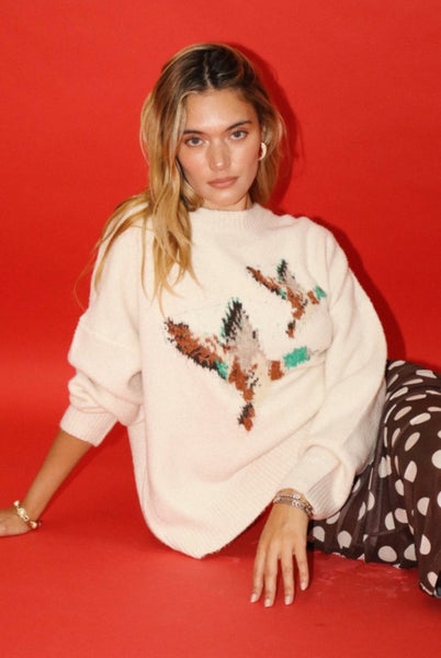 Flying Ducks Sweater